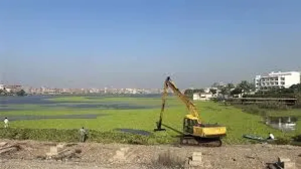 استمرار أعمال ازاله ورد النيل وتطهير مجرى النهر بدمياط