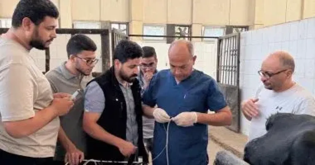 ورشة عمل دولية حول التقنيات الحديثة في تشخيص وعلاج المشاكل التناسلية بالخيول وحيوانات المزرعة