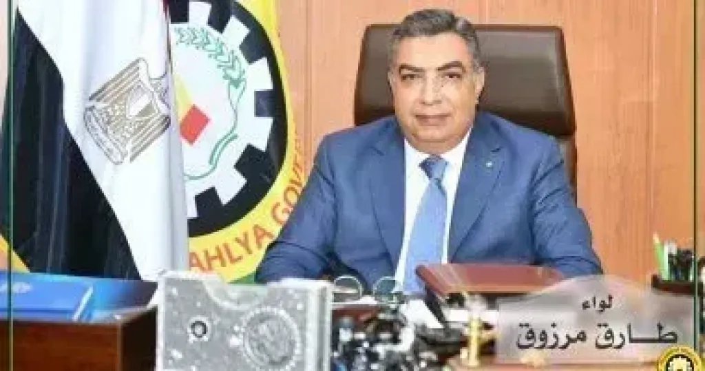 محافظ الدقهلية 