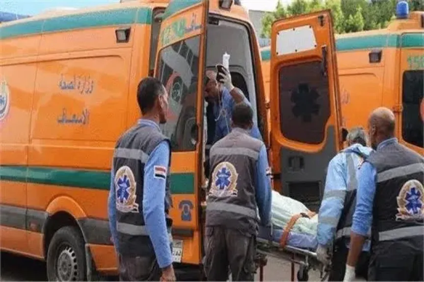 انقلاب سيارة ربع نقل فى الترعة