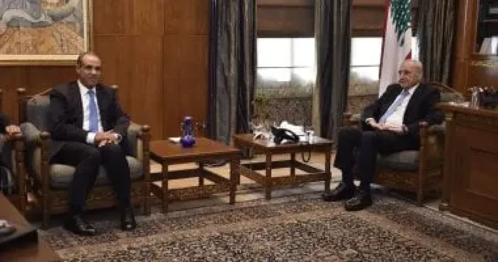 جانب من اللقاء 