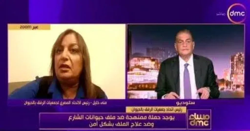 منى خليل خلال مداخلة مع برنامج "مساء دي ام سي