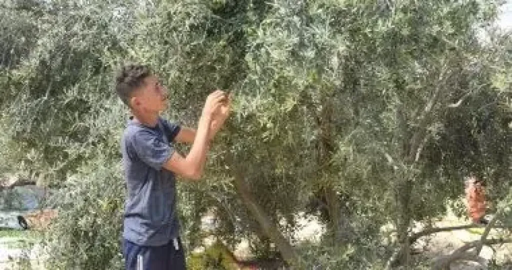 بحوث الصحراء
