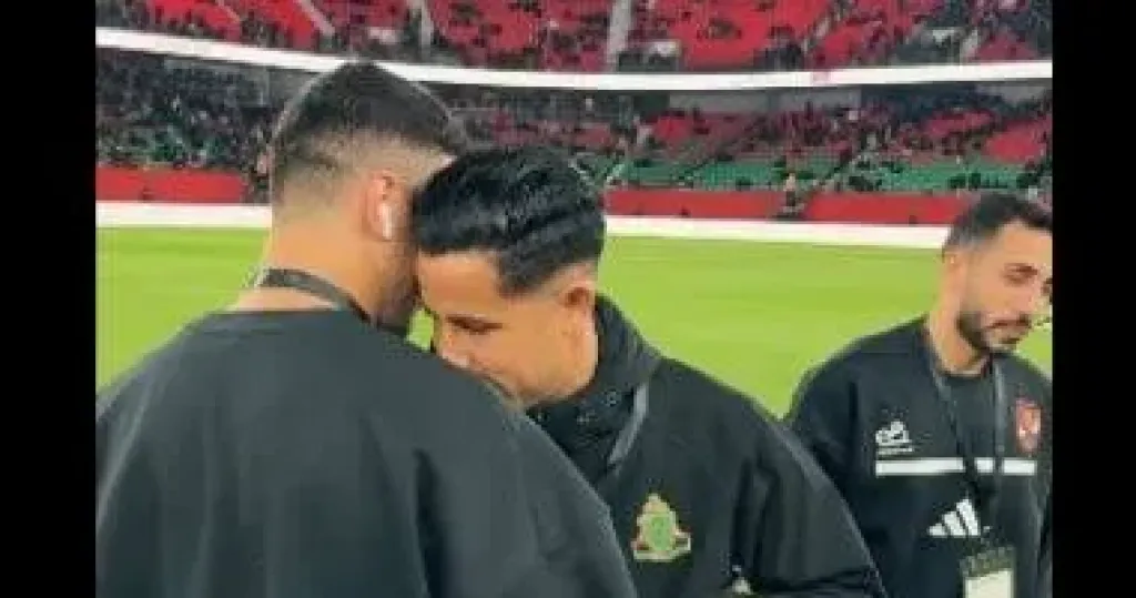 رضا سليم