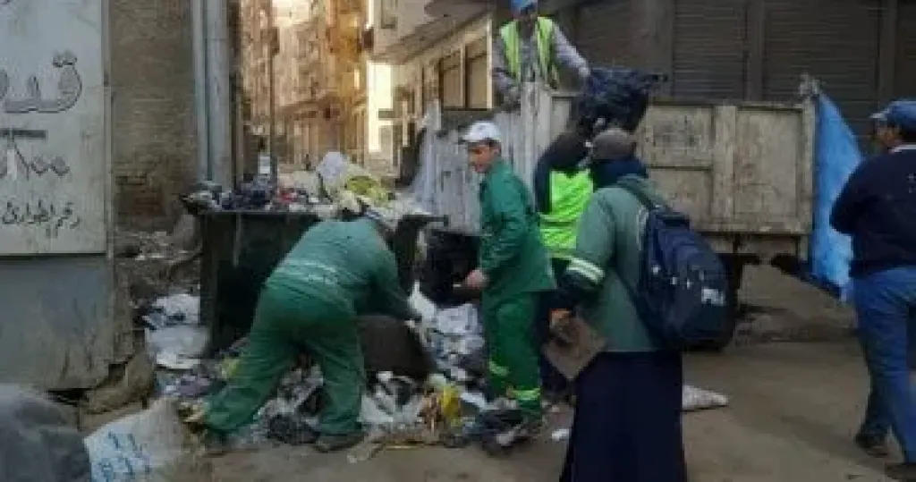 رفع 465 طن مخلفات بلدية خلال حملة نظافة بمدينتي المنصورة وطلخا