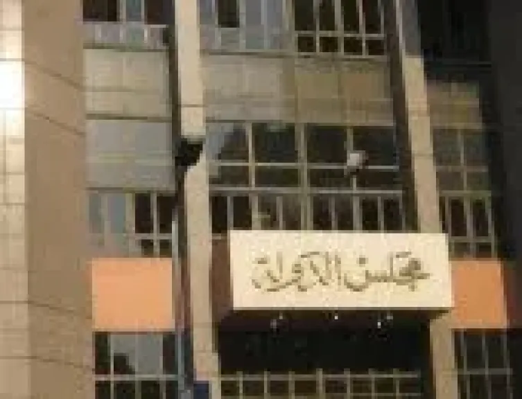 مجلس الدولة 