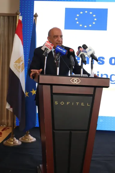 وزير الكهرباء