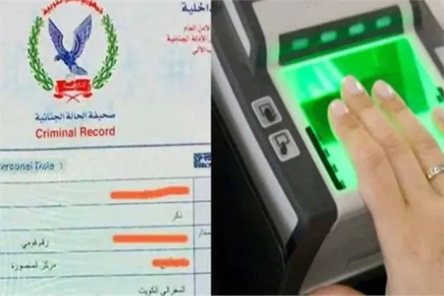 ارشيفية