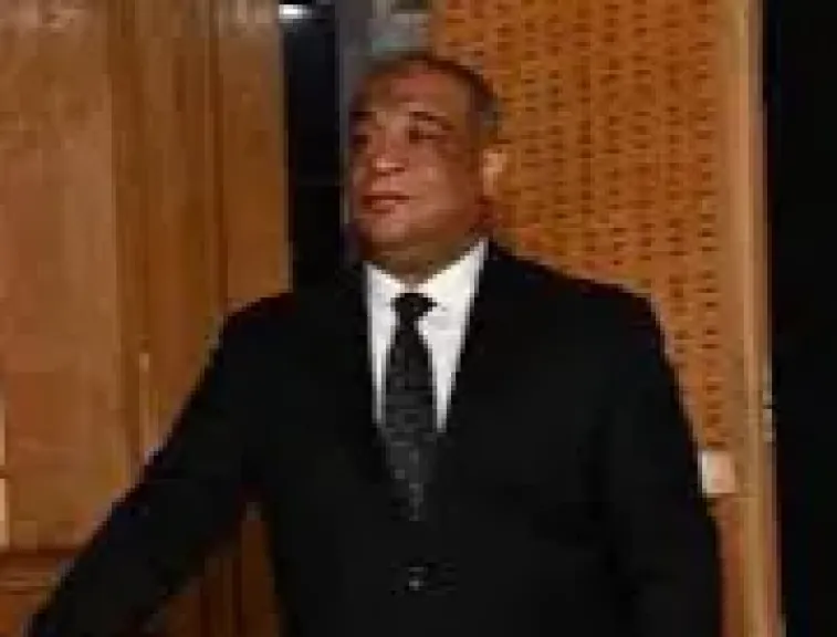 نقيب محامي شمال القاهرة 