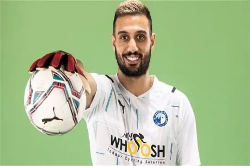 أحمد الشناوي