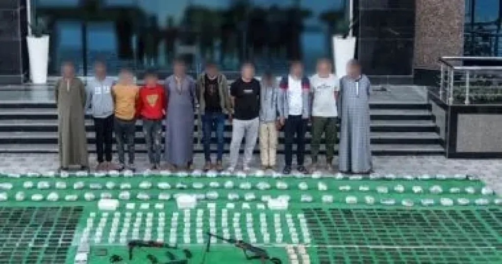 المضبوطات 
