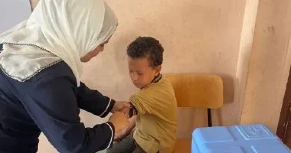 الانفلونزا 
