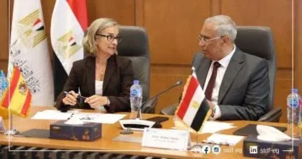 ورشة عمل التعاون المصري الإسباني