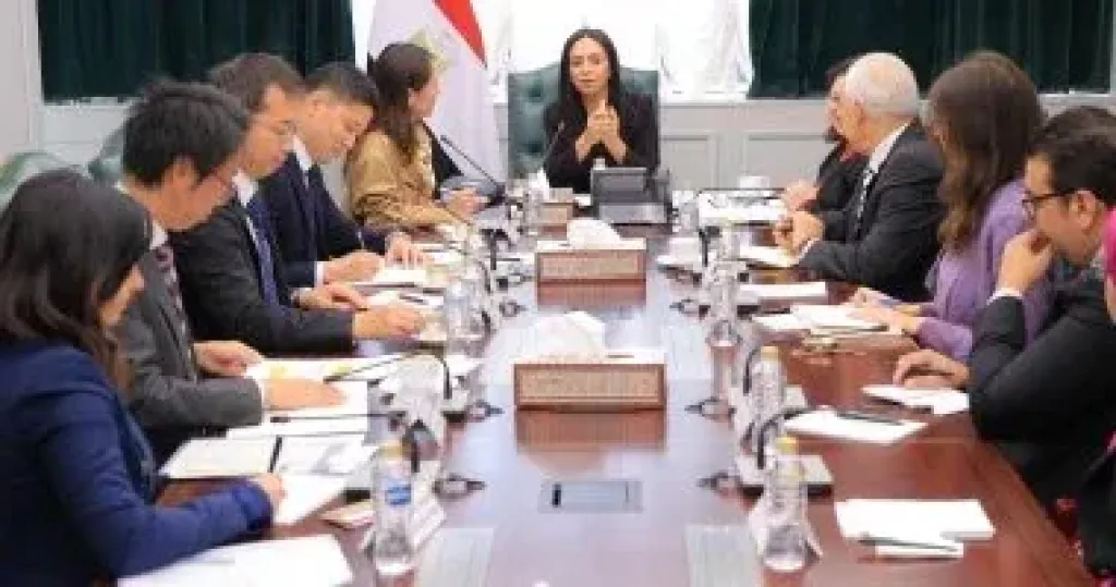 وزيرة التضامن الاجتماعي خلال اللقاء