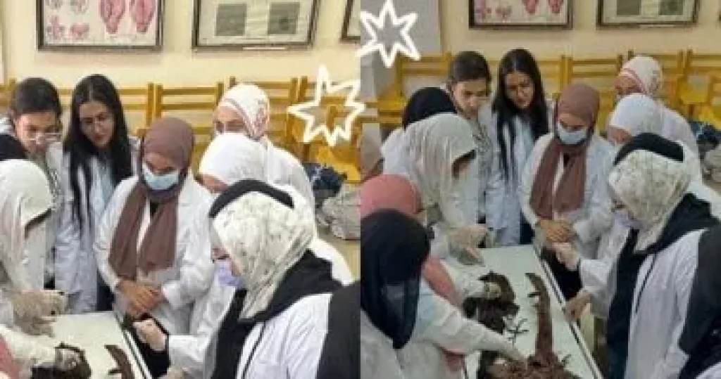 التدريب العملي لطلاب العلاج الطبيعي