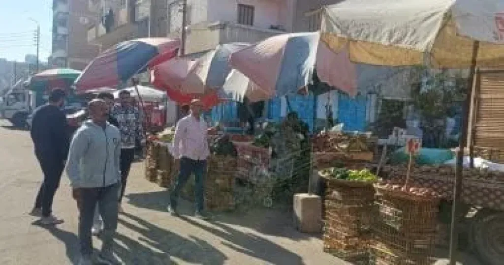 جانب من الحملات 