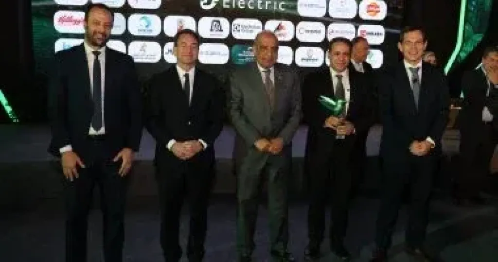 وزير الكهرباء 