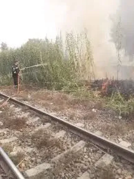 السيطره على حريق فى كميات من البوص بجوار شريط السكه الحديد