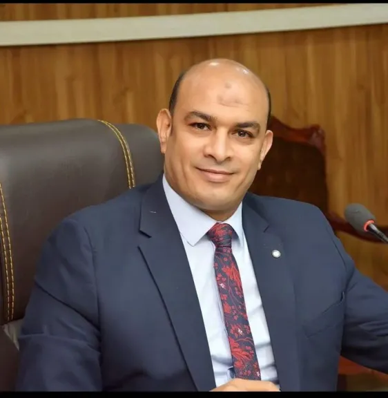 المستشار أحمد عثمان