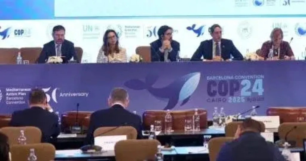 قمة المناخ 
