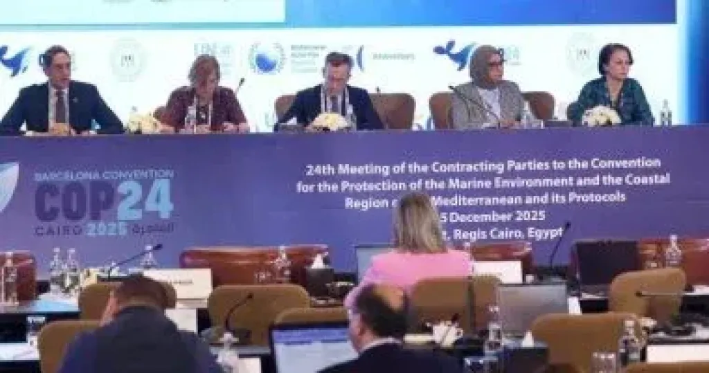 COP24