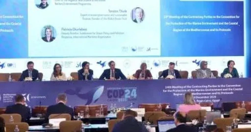 قمة المناخ 