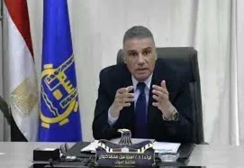 محافظ أسوان