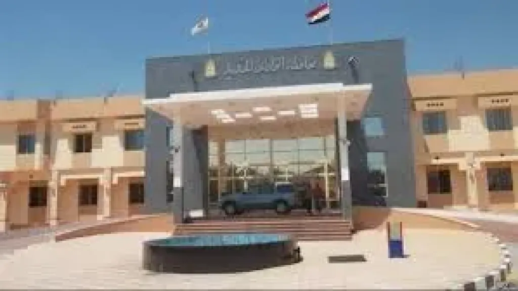 الوحده المحليه لمركز الداخله
