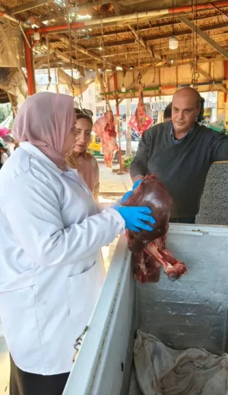 ضبط لحوم فاسدة ببيطرى العاشر من رمضان 