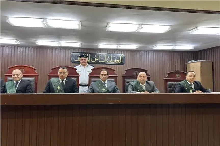 هيئة المحكمة برئاسة المستشار أيمن فؤاد فهمي