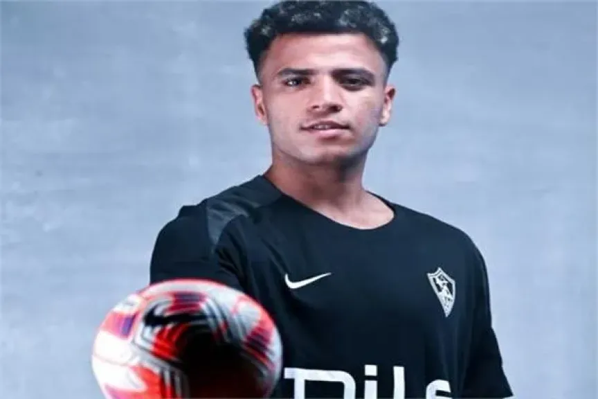 أحمد ربيع