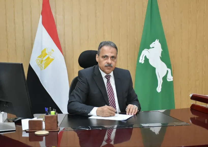 محافظ الشرقية 