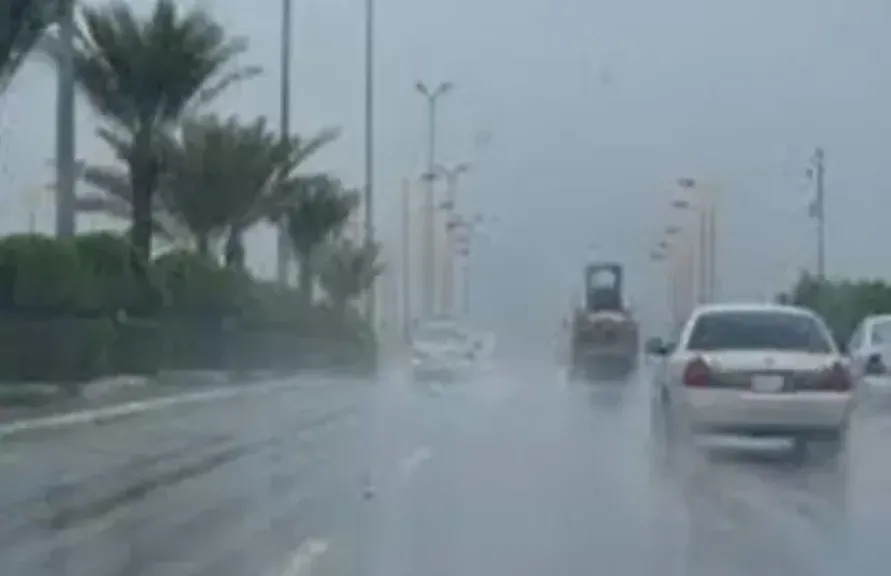 عواصف رعدية 