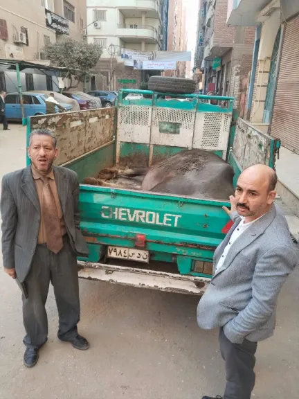 حملات