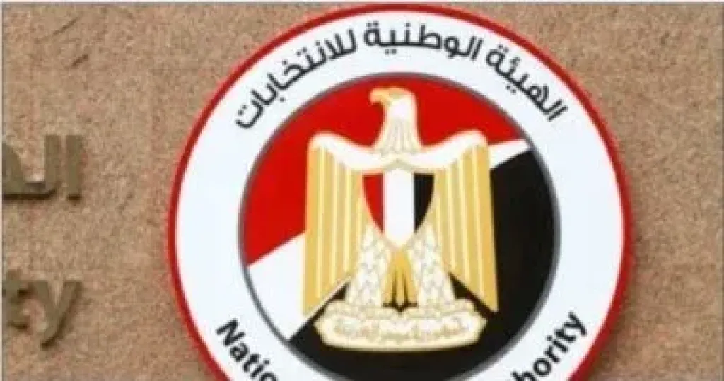 الهيئة الوطنية للانتخابات 
