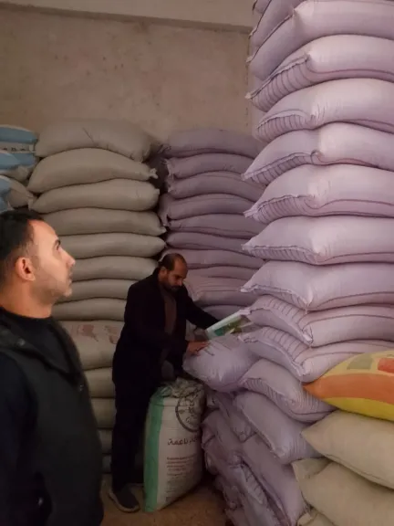 جانب من المضبوطات 