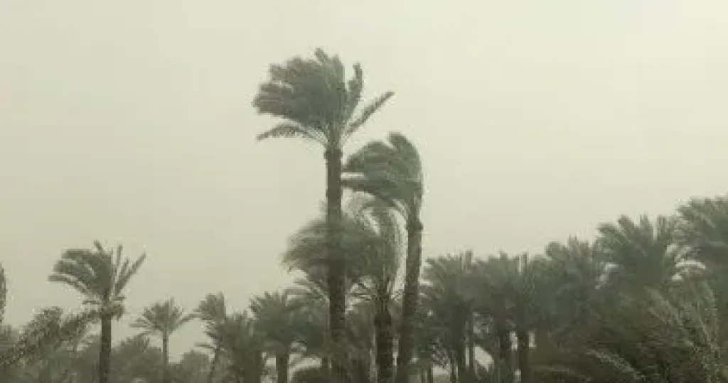 الطقس 