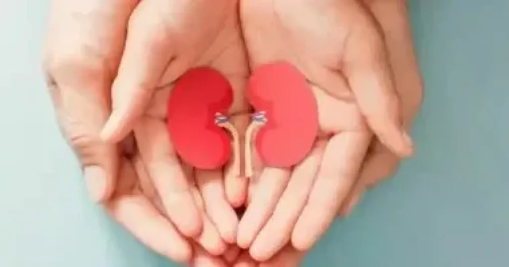 علامات أمراض الكلى