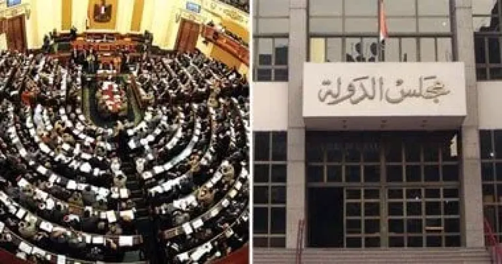 مجلس الدولة 