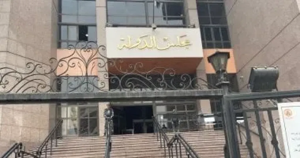 مجلس الدولة 