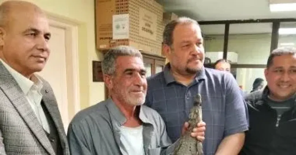 تمساح الزوامل