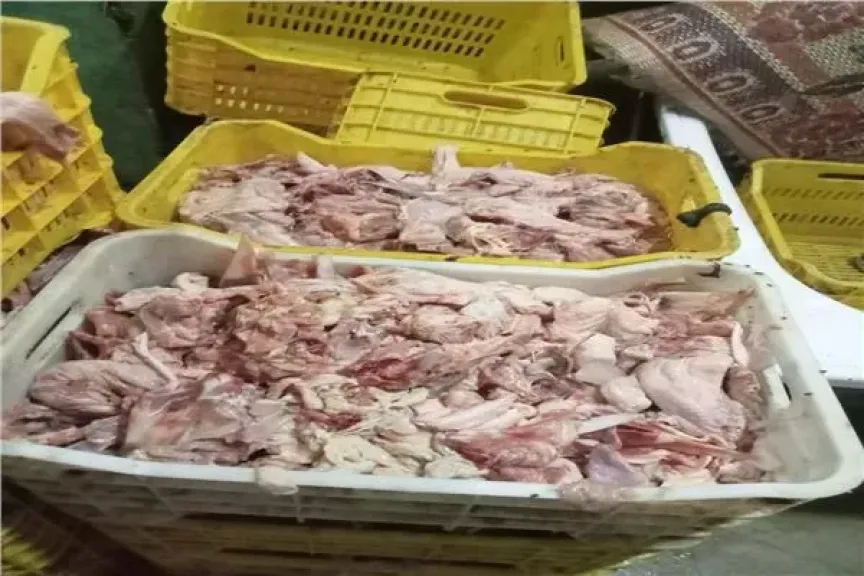لحوم ودواجن