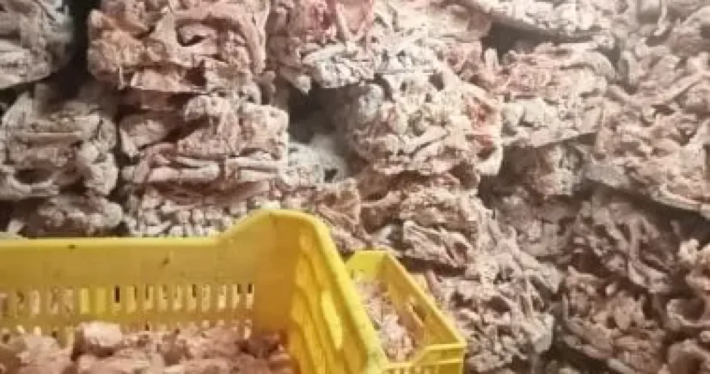 المضبوطات 