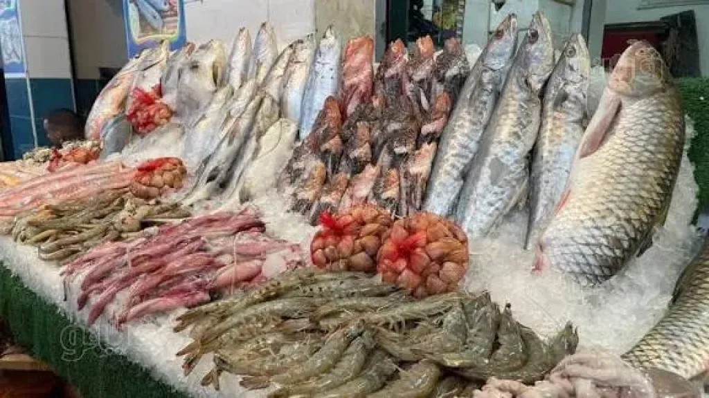 اسعار السمك