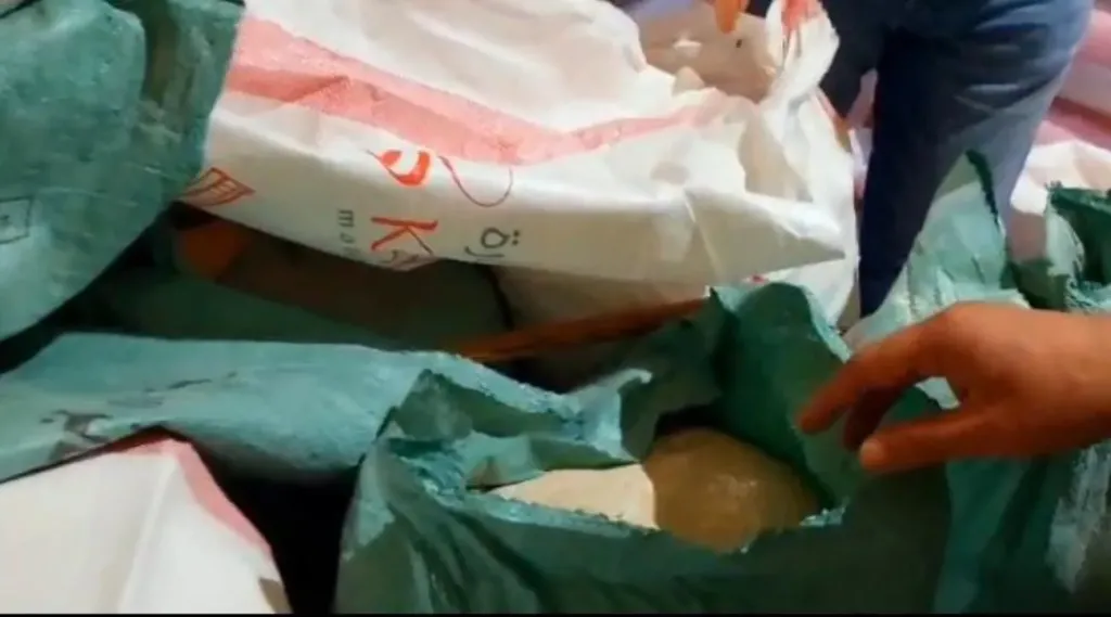 جانب من الحملة 