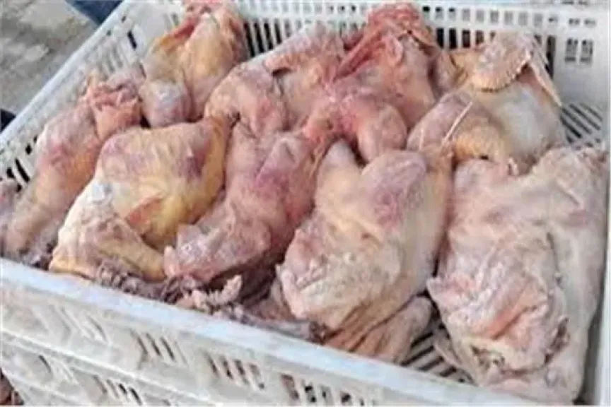 صورة أرشيفية