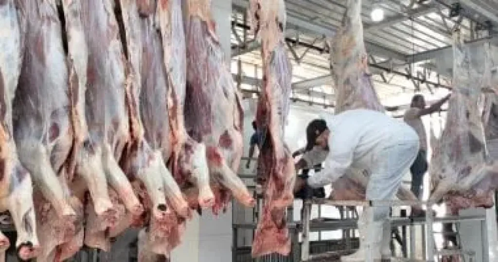 المضبوطات 