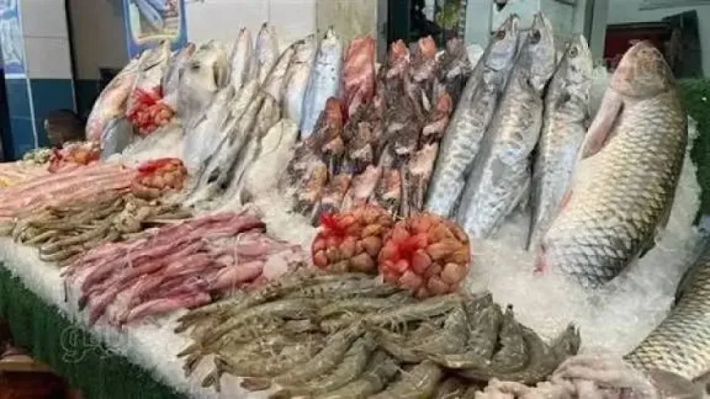 اسعار السمك