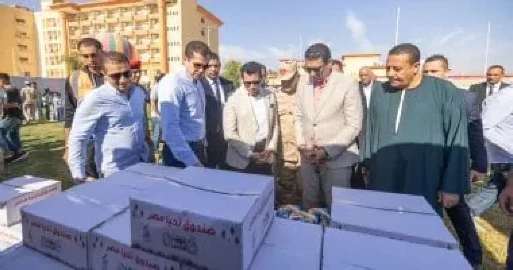 صندوق تحيا مصر  