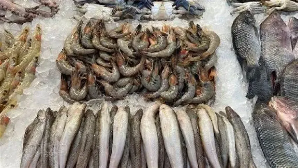 اسعار السمك